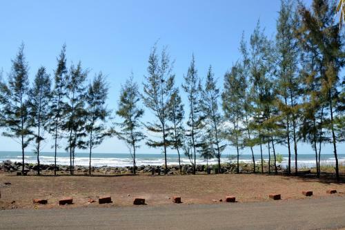 Hotel Pears Beach Resort