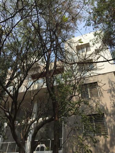 Apartamento Bauhinia