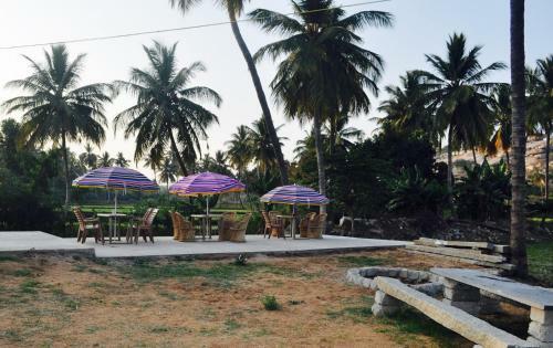 Tutti Hampi Tents & Cafe