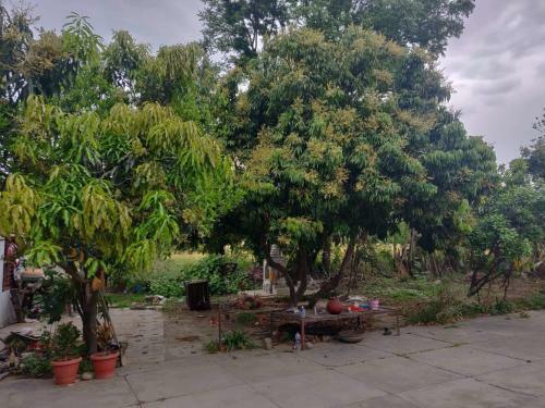 Apartamento Peace Himachal