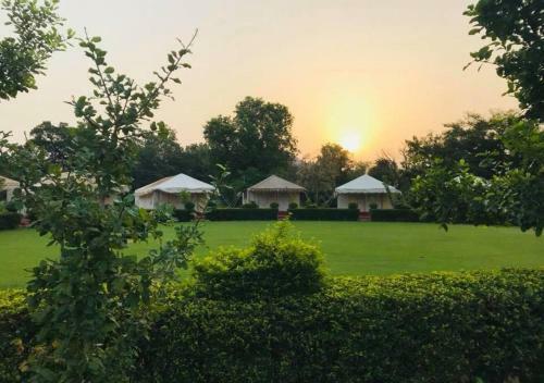 Hotel Ummaid Bagh Resort