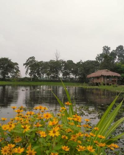 Lodge Yagdrasill Bamboo Cottage