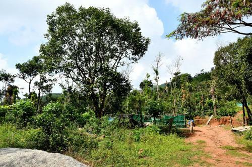 Karadikallu Homestay
