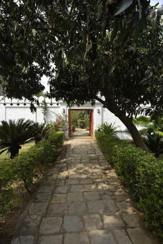 Jambughoda Palace - A Home For Nature Lovers