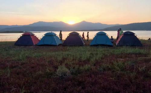 Pavana Lake Touch Camping