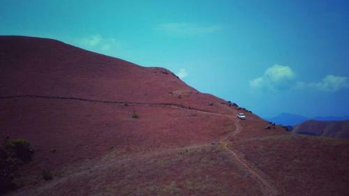 The Den-escape To Nature