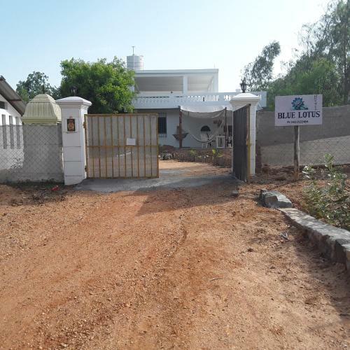 Blue Lotus Hostel
