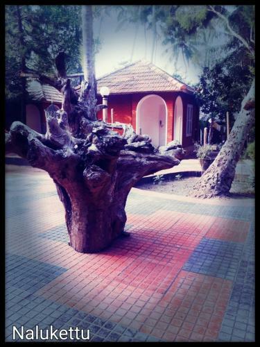 Hotel Nalukettu Resort