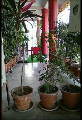 Apartamento Bella Vista