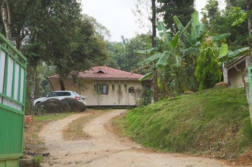Green Garden Daisy Villa