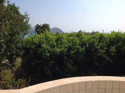 Hostal �z Likya Pension