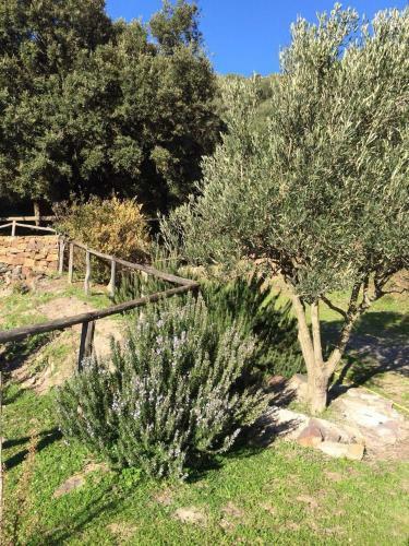 Agroturismo Sa Perda Lada
