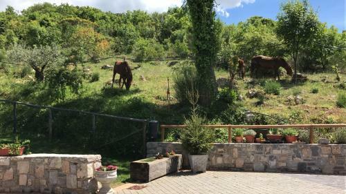 Agroturismo Agriturismo Terra Verde