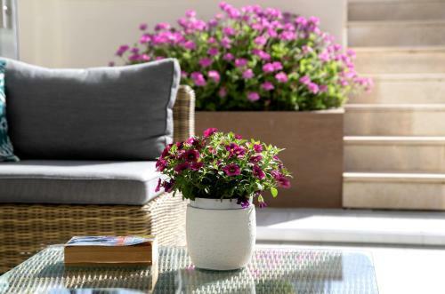 Apartamento Amalfi - Positano Home & Breakfast