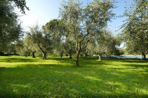 Agroturismo Agrigturismo Monte Cicogna