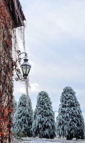 Bed & Breakfast Villa La Palazzina