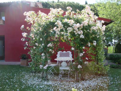 Apartamento Al Gelso Bianco