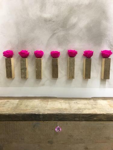 Hostal 24h Suite