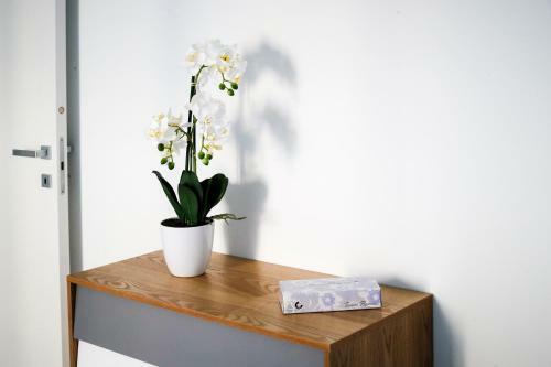 Apartamento Bnbook - Don Sturzo