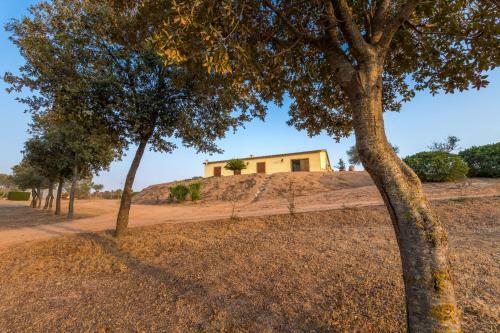 Molti Mari B&B Resort