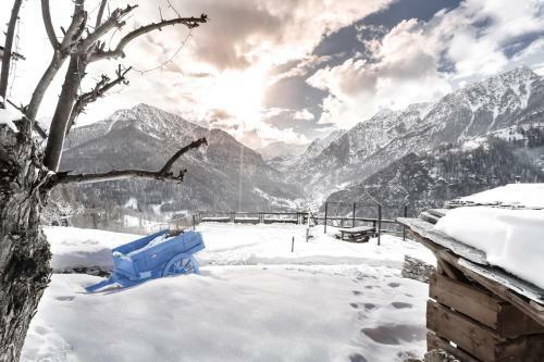 Bed & Breakfast Brieis Relais Alpino
