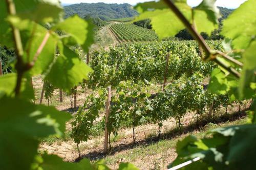 Agroturismo Tenuta Valdomini
