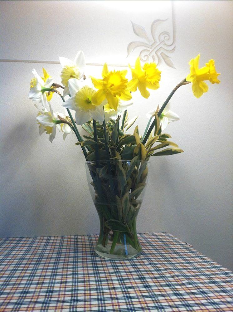 Bed & Breakfast Le Rondini