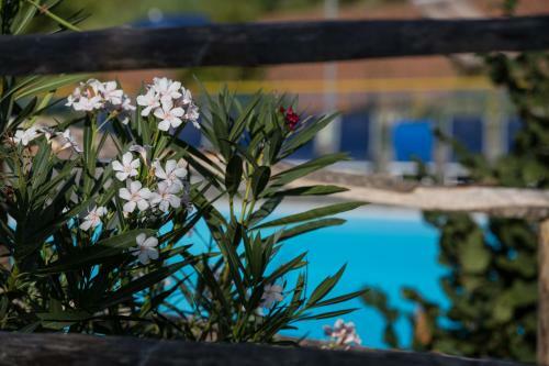Agroturismo Agriturismo Il Sole