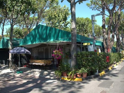 Camping Apuano
