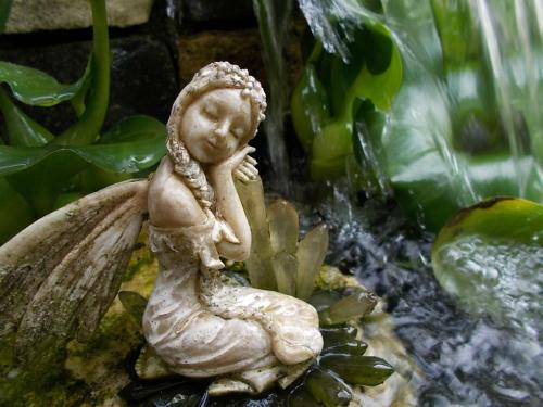 B&B Il Giardino Acquatico