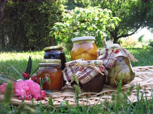 Agroturismo B&B Apricot