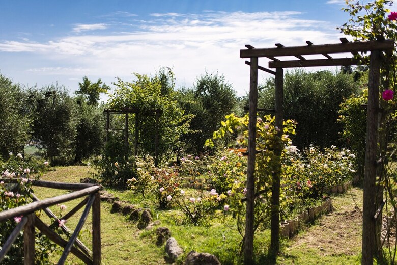 Hostal Orvieto Aroma Rooms 2