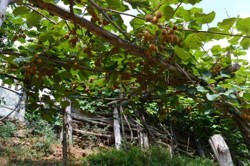 Agroturismo Agriturismo E Turre