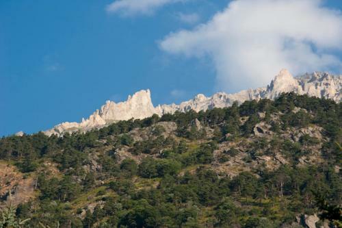 Camping Gran Bosco