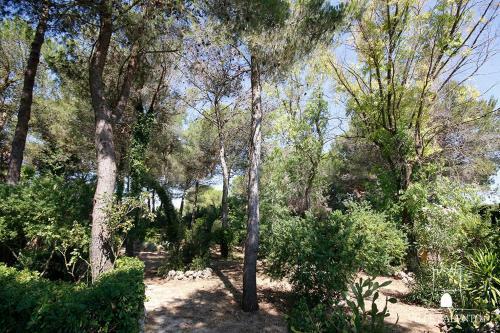 Villa Verde And Pool M215