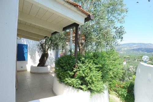 Apartamento Case Vacanza Montesaraceno