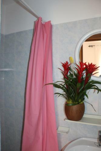 Camping Village Baia San Nicola
