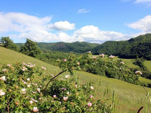 Vintage Apartment In Emilia-romagna Near The Forest
