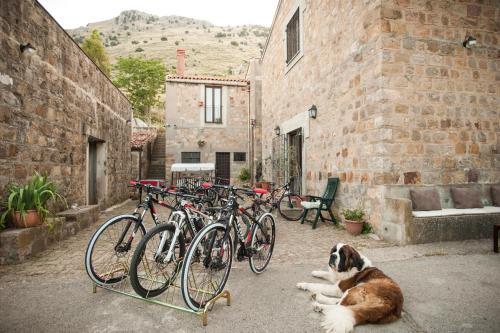 Agroturismo Feudo Galefona