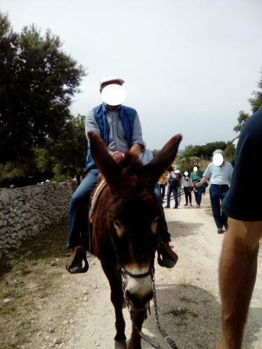 Agroturismo Agriturismo Agrimilo