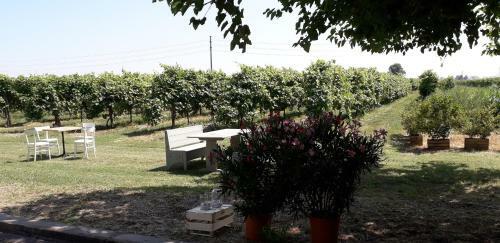 Agroturismo Agriturismo Vitae