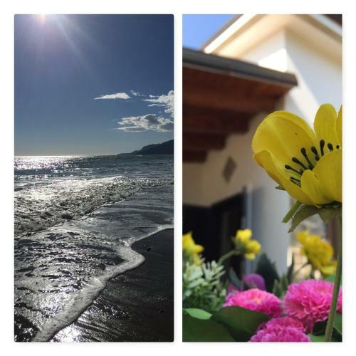 Apartamento Stone And Beach