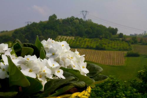 Cascina Recarano