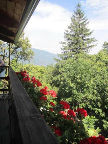 B&B Baita Evelina