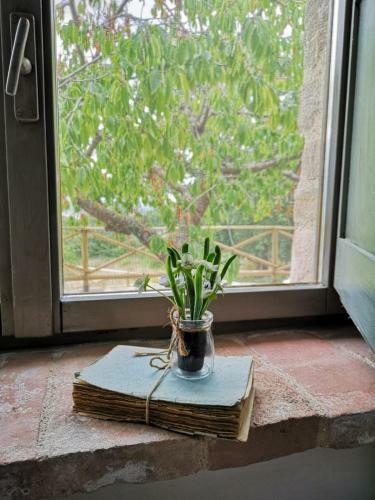 B&B Col Di Piagge
