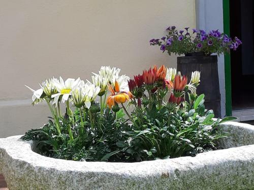 Bed & Breakfast Villa Gusto E Benessere Country House