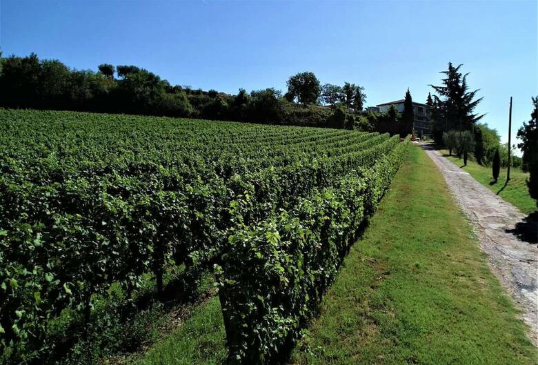 Apartamento Agriturismo La Guarda