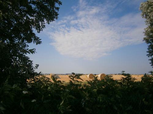 Agroturismo I Quarti