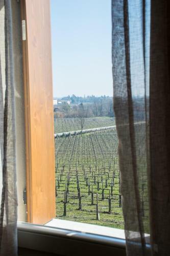 B&B Terre Boscaratto