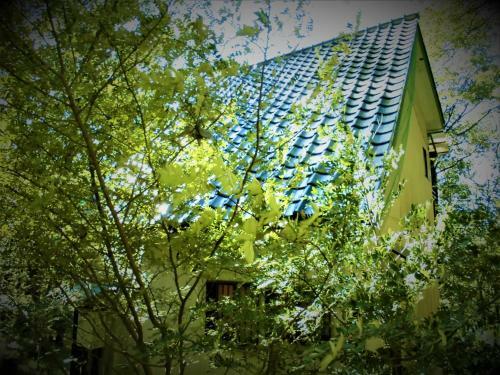 Asuka's House ?